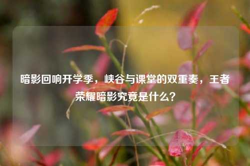 暗影回响开学季，峡谷与课堂的双重奏，王者荣耀暗影究竟是什么？