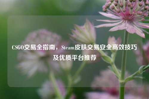 CSGO交易全指南，Steam皮肤交易安全高效技巧及优质平台推荐