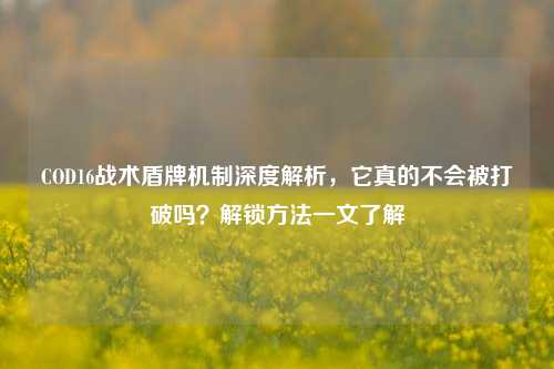 COD16战术盾牌机制深度解析,它真的不会被打破吗?解锁 *** 一文了解