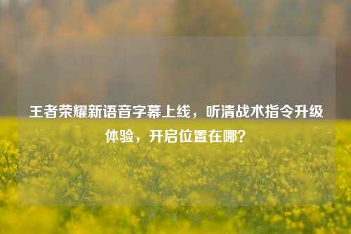 王者荣耀新语音字幕上线，听清战术指令升级体验，开启位置在哪？