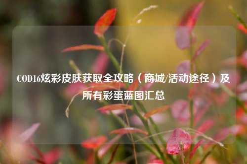COD16炫彩皮肤获取全攻略（商城/活动途径）及所有彩蛋蓝图汇总