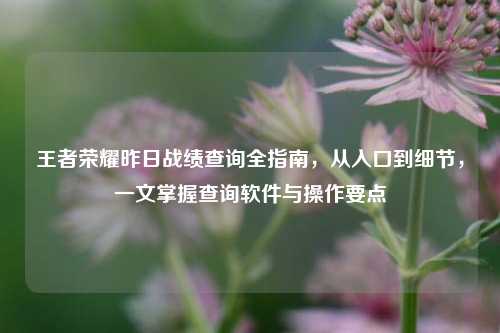 王者荣耀昨日战绩查询全指南，从入口到细节，一文掌握查询软件与操作要点