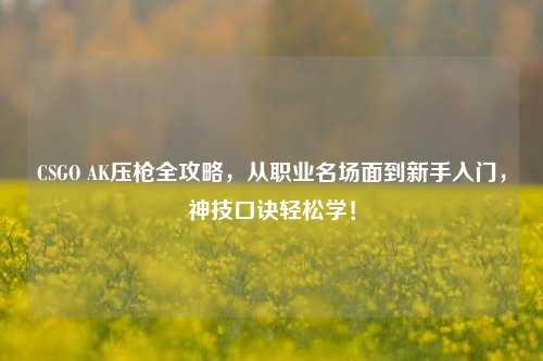 CSGO AK压枪全攻略,从职业名场面到新手入门,神技口诀轻松学!
