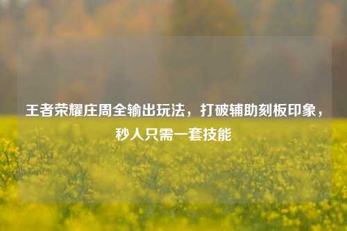 王者荣耀庄周全输出玩法,打破辅助刻板印象,秒人只需一套技能