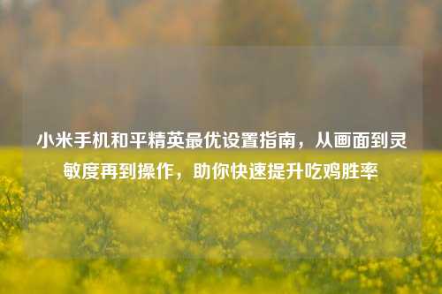 小米手机和平精英更优设置指南，从画面到灵敏度再到操作，助你快速提升吃鸡胜率
