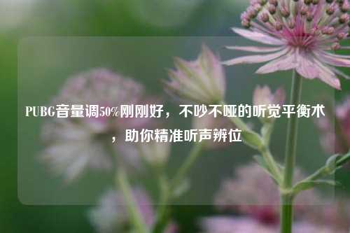 PUBG音量调50%刚刚好，不吵不哑的听觉平衡术，助你精准听声辨位