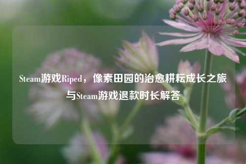 Steam游戏Riped,像素田园的治愈耕耘成长之旅与Steam游戏退款时长解答