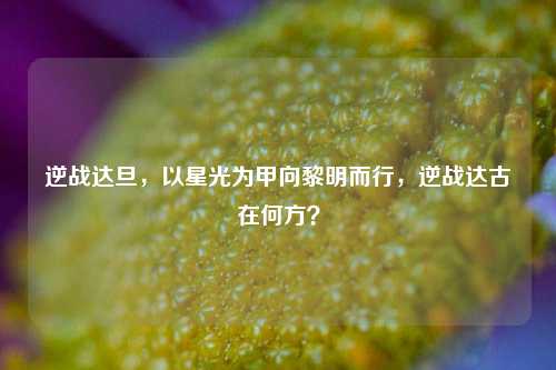 逆战达旦，以星光为甲向黎明而行，逆战达古在何方？