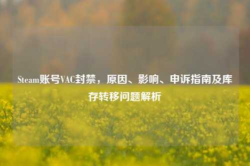 Steam账号VAC封禁,原因、影响、申诉指南及库存转移问题解析