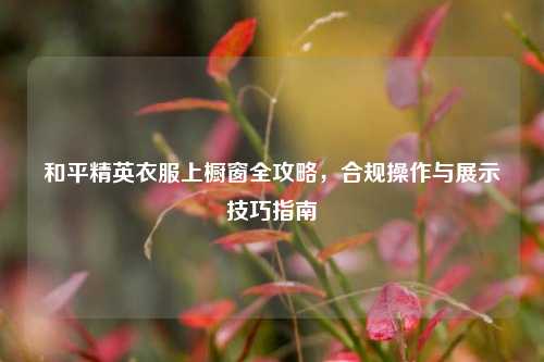 和平精英衣服上橱窗全攻略，合规操作与展示技巧指南