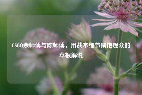CSGO余师傅与陈师傅，用战术细节喂饱观众的草根解说