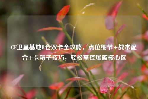 CF卫星基地B仓双卡全攻略,点位细节+战术配合+卡箱子技巧,轻松掌控爆破核心区