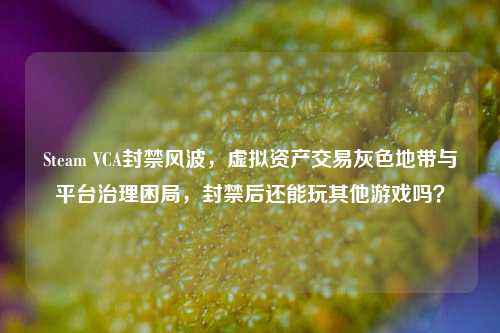 Steam VCA封禁风波,虚拟资产交易灰色地带与平台治理困局,封禁后还能玩其他游戏吗?