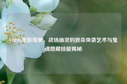 COD16鬼影驾驶，战场幽灵的致命突袭艺术与鬼魂隐藏技能揭秘