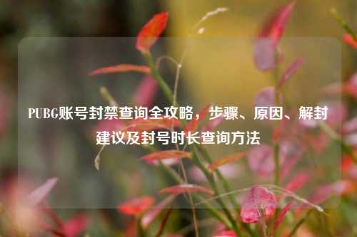 PUBG账号封禁查询全攻略，步骤、原因、解封建议及封号时长查询 *** 