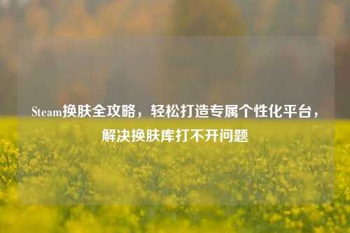 Steam换肤全攻略，轻松打造专属个性化平台，解决换肤库打不开问题