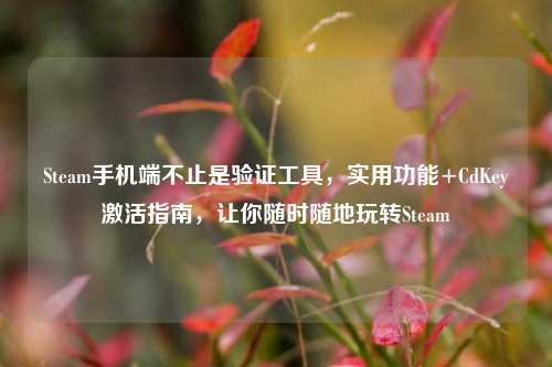 Steam手机端不止是验证工具，实用功能+CdKey激活指南，让你随时随地玩转Steam
