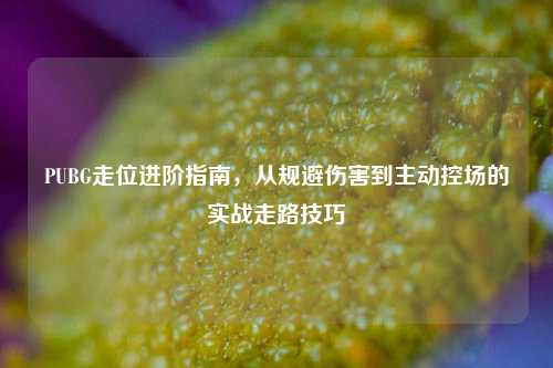 PUBG走位进阶指南，从规避伤害到主动控场的实战走路技巧
