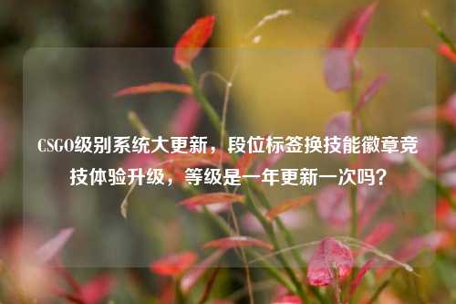 CSGO级别系统大更新,段位标签换技能徽章竞技体验升级,等级是一年更新一次吗?