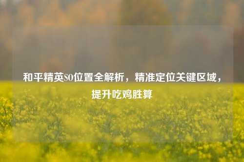 和平精英SO位置全解析，精准定位关键区域，提升吃鸡胜算