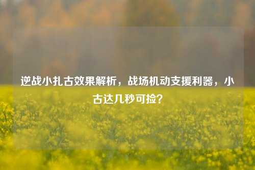 逆战小扎古效果解析，战场机动支援利器，小古达几秒可捡？