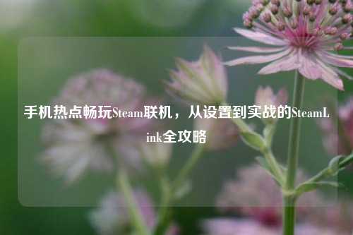 手机热点畅玩Steam联机，从设置到实战的SteamLink全攻略