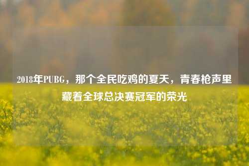 2018年PUBG,那个全民吃鸡的夏天,青春枪声里藏着全球总决赛冠军的荣光