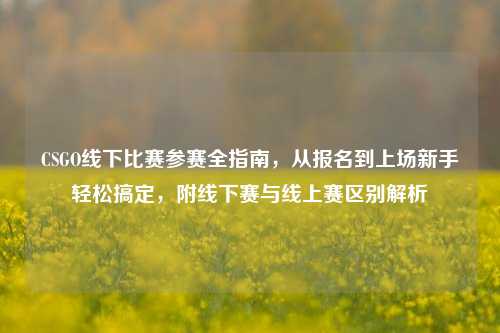 CSGO线下比赛参赛全指南,从报名到上场新手轻松搞定,附线下赛与线上赛区别解析