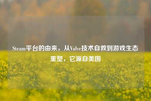Steam平台的由来,从Valve技术自救到游戏生态重塑,它源自美国