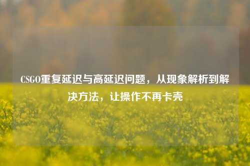 CSGO重复延迟与高延迟问题，从现象解析到解决 *** ，让操作不再卡壳