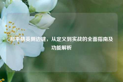 和平精英侧边键，从定义到实战的全面指南及功能解析