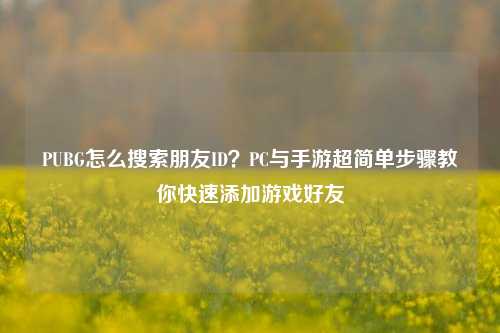 PUBG怎么搜索朋友ID？PC与手游超简单步骤教你快速添加游戏好友