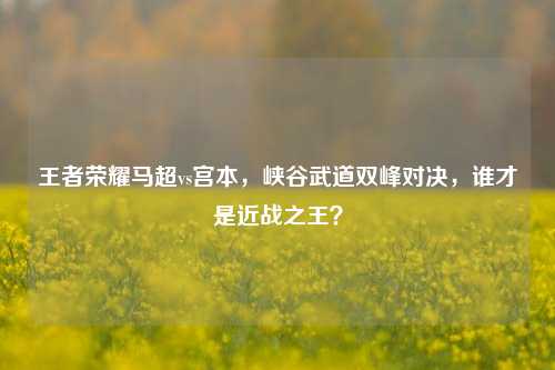 王者荣耀马超vs宫本，峡谷武道双峰对决，谁才是近战之王？