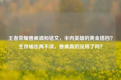 王者荣耀兽痕调和铭文，半肉英雄的黄金搭档？生存输出两不误，兽痕真的没用了吗？