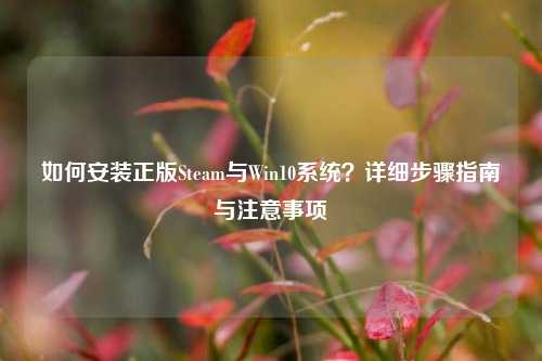 如何安装正版Steam与Win10系统？详细步骤指南与注意事项