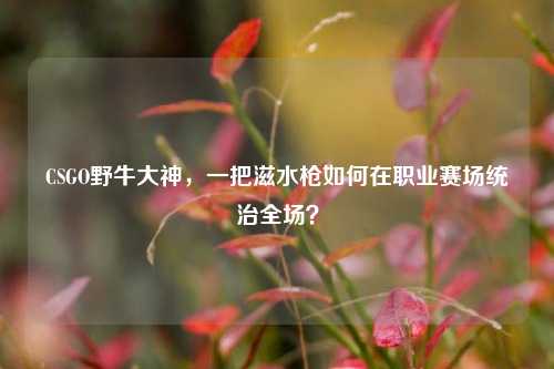 CSGO野牛大神，一把滋水枪如何在职业赛场统治全场？