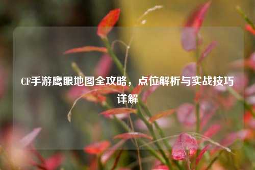 CF手游鹰眼地图全攻略，点位解析与实战技巧详解