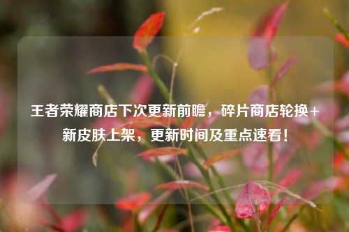 王者荣耀商店下次更新前瞻，碎片商店轮换+新皮肤上架，更新时间及重点速看！