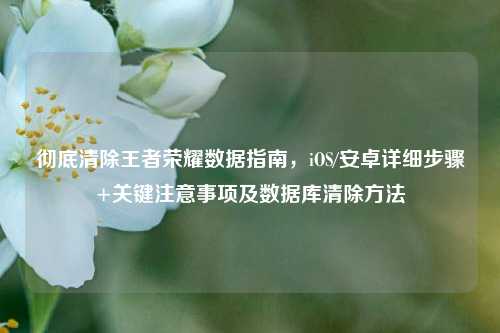 彻底清除王者荣耀数据指南，iOS/安卓详细步骤+关键注意事项及数据库清除 *** 