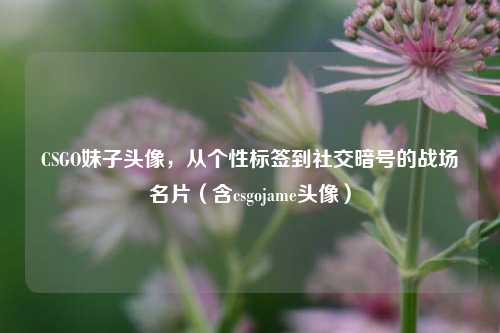 CSGO妹子头像，从个性标签到社交暗号的战场名片（含csgojame头像）