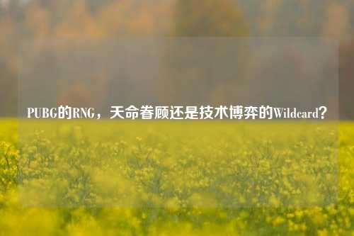 PUBG的RNG,天命眷顾还是技术博弈的Wildcard?