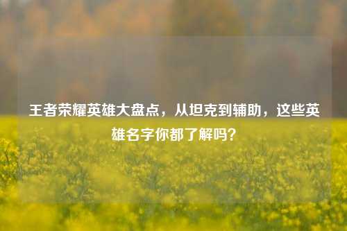 王者荣耀英雄大盘点，从坦克到辅助，这些英雄名字你都了解吗？