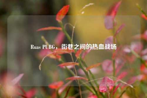 Ruas PUBG，街巷之间的热血战场