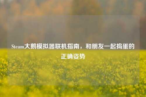 Steam大鹅模拟器联机指南,和朋友一起捣蛋的正确姿势