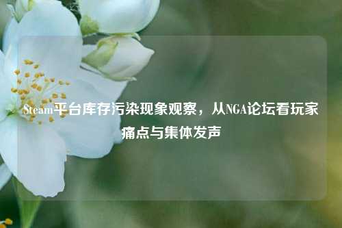 Steam平台库存污染现象观察,从NGA论坛看玩家痛点与集体发声