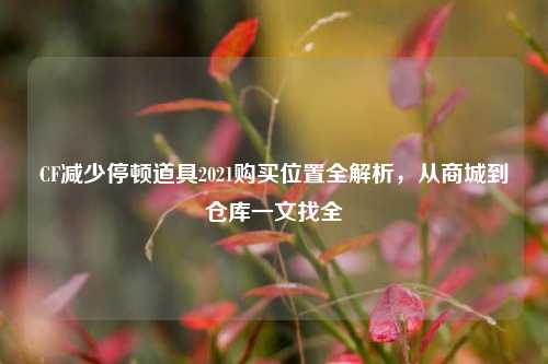CF减少停顿道具2021购买位置全解析，从商城到仓库一文找全
