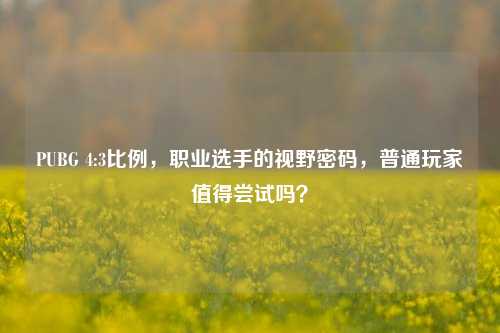 PUBG 4:3比例,职业选手的视野密码,普通玩家值得尝试吗?
