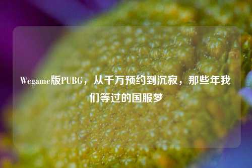 Wegame版PUBG,从千万预约到沉寂,那些年我们等过的国服梦