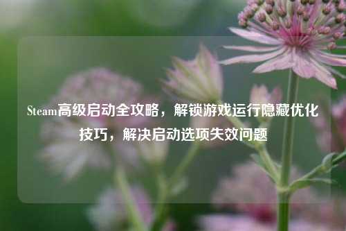Steam高级启动全攻略,解锁游戏运行隐藏优化技巧,解决启动选项失效问题