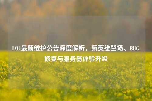 LOL最新维护公告深度解析，新英雄登场、BUG修复与服务器体验升级
